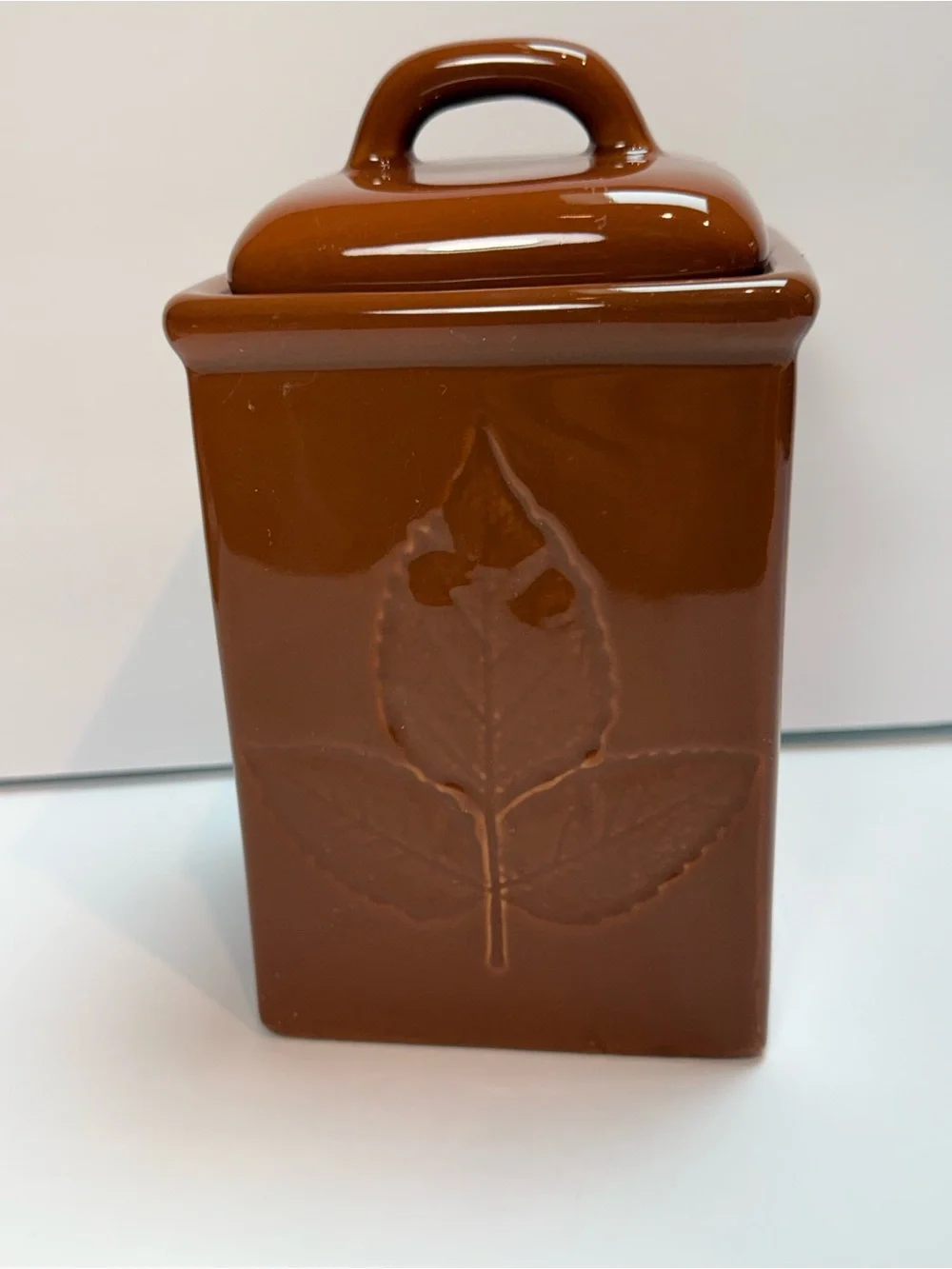 Vintage Lillian Vernon Canister in Brown Raised Botanical Leaf Design